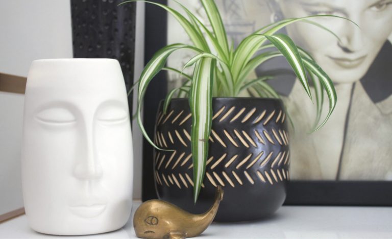 How to Create a Budget That Works for Your Lifestyle and Goals